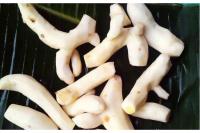 White curcuma 100g